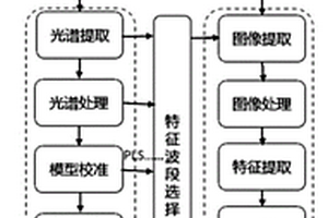 基于高光譜轉基因玉米籽粒的識別裝置與方法