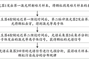 硅片表面顆粒污染成分無損快速在線檢測方法及系統
