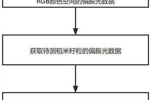 基于偏振光技術的稻米籽粒新陳度無損定量檢測方法及其系統