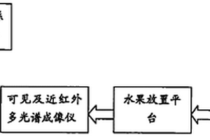 基于多光譜成像技術的水果品質無損檢測系統