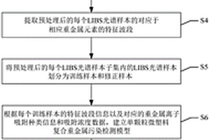 基于LIBS的單顆粒微塑料復合重金屬污染的無損檢測方法