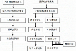 基于圖譜融合技術的羊肉安全品質在線快速無損檢測生產線