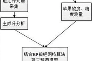 基于近紅外光譜的富士蘋果品質無損檢測方法