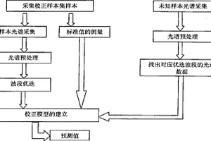 植物葉片生理指標無損檢測方法