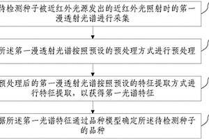 種子單籽粒無損檢測方法及系統