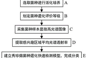 基于顯微高光譜圖像秀珍菇菌種退化無損檢測方法