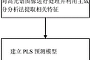 無損檢測冬蟲夏草子座粉/粉片真偽的方法