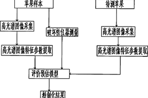 利用高光譜圖像技術進行蘋果粉質化無損檢測方法