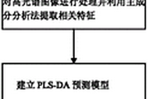 無損檢測冬蟲夏草原草真偽的方法