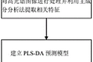 無損檢測冬蟲夏草子座真偽的方法