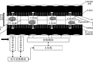 光學無損評價不規則肉品品質的在線檢測系統及方法