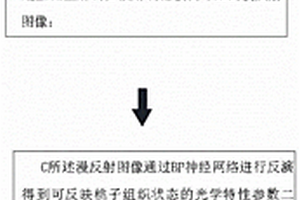用于桃子皮下隱性損傷無損檢測方法