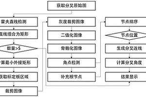 茄子莖夾角無損檢測方法