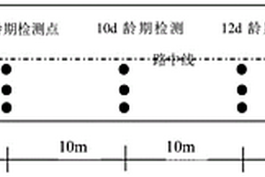 半剛性基層強度和板體性無損檢測與質量評價的方法