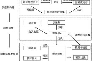 基于深度學習的明蝦新鮮度無損檢測方法