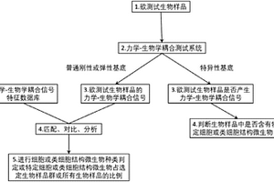無染色、無探針、無損檢測細胞或類細胞結構微生物的類型及其周期的方法