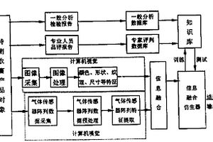 基于電子視覺和嗅覺融合技術的農畜產品無損檢測方法及其裝置
