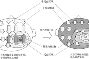 非接觸非侵入無損傷的癲癇對偶互補方式監測預警干預系統及獲取干擾腦電分布的方法