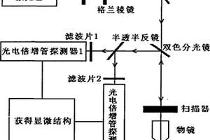對細胞和細胞外間質成分進行同時無損探測的裝置