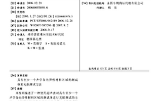 具有至少一個聲學各向異性材料區域的測試體的無損測試方法
