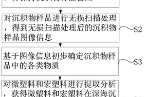 深海沉積物中微塑料和宏塑料的無損探測分析方法