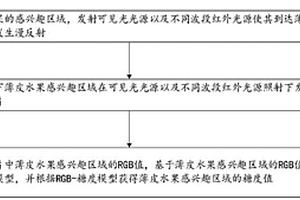 基于智能手機的薄皮水果糖度無損測量方法及系統