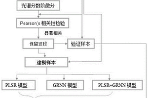 喀斯特植物葉片TN含量無損監測方法