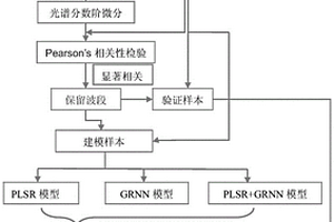 喀斯特植物葉片全磷含量無損監測方法