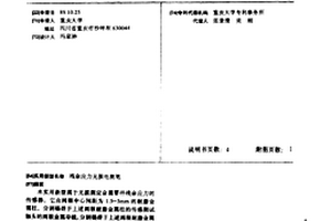 殘余應力無損電測筆