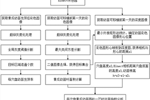 基于顏色和深度信息的穴盤苗長勢無損監測方法和裝置