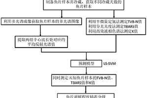 近紅外多光譜成像快速無損評價魚肉脂肪氧化程度的方法