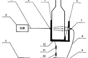 瓶裝黃酒標注酒齡快速無損鑒別方法和裝置