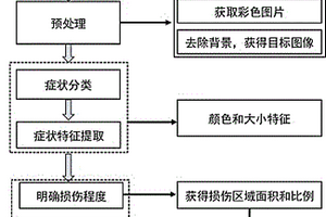 葉片無損評價植物臭氧敏感性的方法