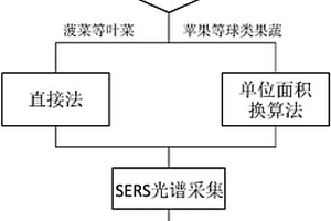 果蔬農藥殘留的無損檢測方法