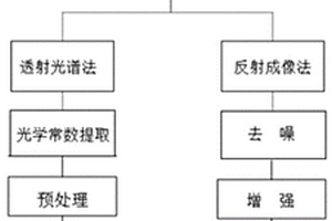 基于太赫茲光譜技術的油料作物品質的快速無損檢測方法
