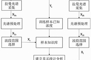 基于拉曼全譜分析的無損快速膽維丁含量定量方法