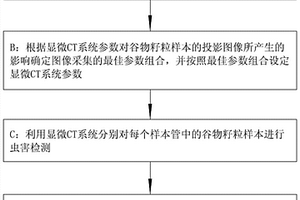基于Micro?CT的單籽粒谷物內部蟲害檢測方法