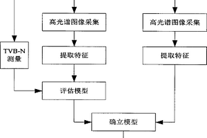 基于多特征融合的肉類新鮮度高光譜圖像可視化檢測