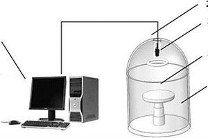 基于機器視覺與電子鼻融合技術的馬鈴薯龍葵素檢測方法