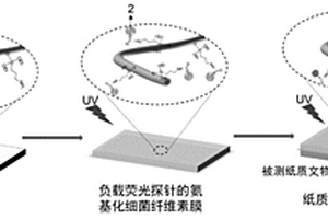 可視化檢測紙質文物pH的紙基熒光傳感器及其制備方法