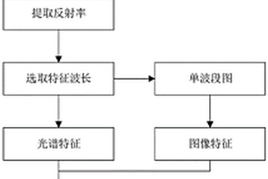 基于級聯森林和卷積神經網絡的小麥粉筋度檢測方法