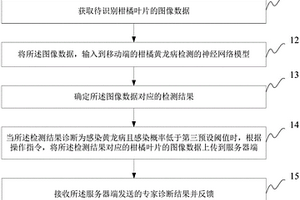 基于深度學習的柑橘黃龍病檢測方法、裝置及系統