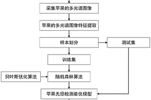 貝葉斯優化隨機森林算法的蘋果多光譜圖像無損檢測方法