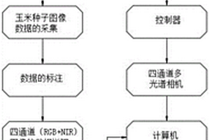 種子質量的快速檢測系統