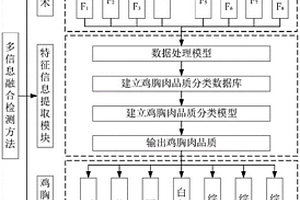 基于多信息融合的異質雞胸肉品質檢測方法