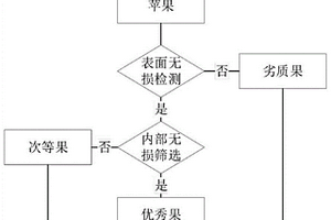 基于機器學習的蘋果無損檢測方法