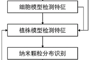 基于太赫茲光譜成像的植物體內納米顆粒分布檢測方法