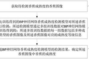 基于BP神經網絡的香蕉成熟度檢測方法及裝置