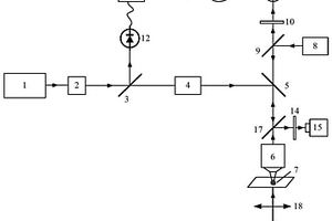 基于線激光操控的細胞粘彈性檢測系統及方法