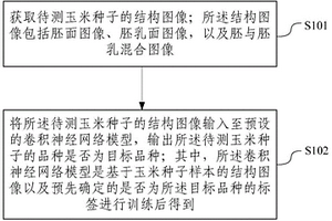 玉米種子品種真實性鑒定方法及設備